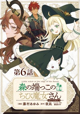 ��ñ���ǡۿ���ü�ä��Τ�����������COMIC ��6��