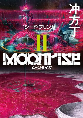 �ࡼ��饤��II �����ɡ��֥�󥬡�