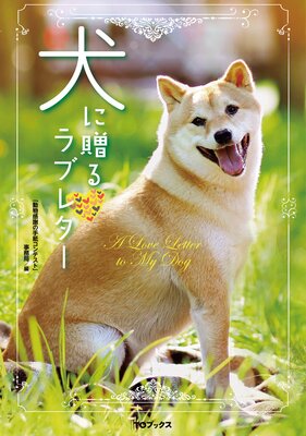 ����£���֥쥿��