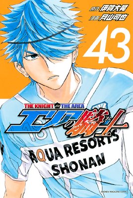 エリアの騎士 43巻
