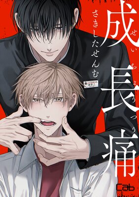 ��Ĺ��4��ɽ��