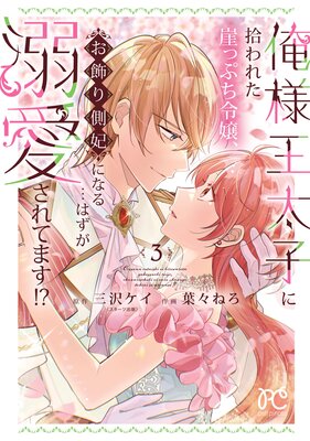 ���Ͳ����Ҥ˽���줿���äפ���������¦�ޤˤʤ�ĤϤ���Ů������Ƥޤ����� 3