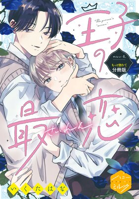 ���Ҥκ��� ʬ���� 4��