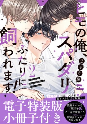 �ҥ�β������ѥ���դ���˻����ޤ�����ñ�����ǡ��Ż������Ǿ������դ���2