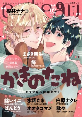 gateau �ʥ��ȡ��� 2026ǯ2��� ver.B��ɽ��