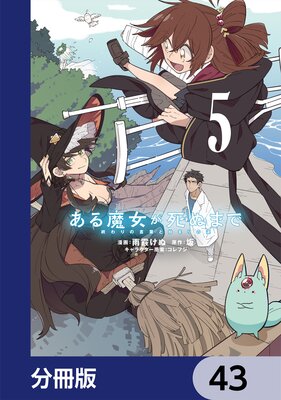 �����������̤ޤǡ�ʬ���ǡ� 43