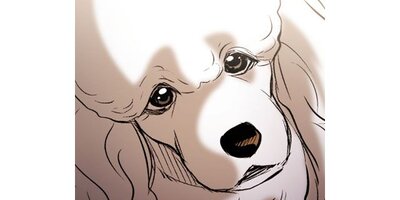 DOG SIGNAL�ڥ��ƥ����� Chapter144�ڥե륫�顼��
