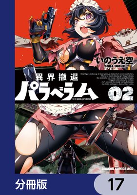 �۳�ű��ѥ�٥���ʬ���ǡ� 17