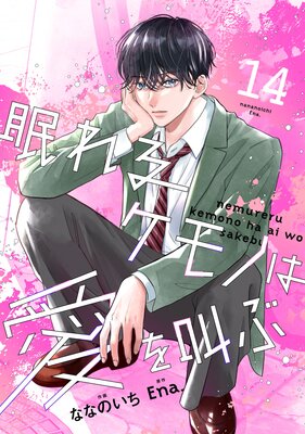 noicomi̲��륱��Τϰ��򶫤�14��