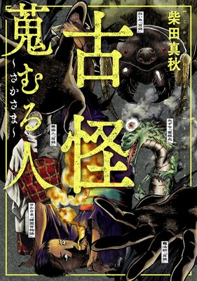 �Ų������� ���������ޡ�