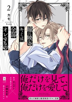 Ʒ�˱Ǥ륭�ߤϡ���������Τ�Ρ�ñ�����ǡۡ��ŻҸ�������������̡���դ��ۤ�ɽ��