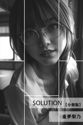 Solution��ʬ���ǡ�