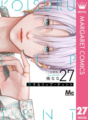 �������åס��ƥ���� ʬ���� 27