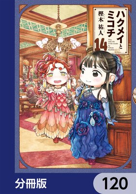 �ϥ��ᥤ�ȥߥ�����ʬ���ǡ� 120