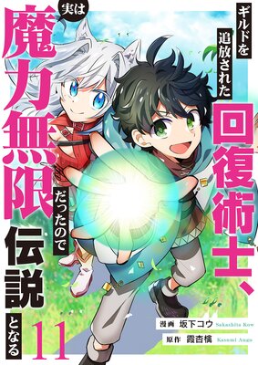 ����ɤ��������줿�����ѻΡ��¤�����̵�¤��ä��Τǵ��ʳ��β�����ˡ������Ȥʤ�11