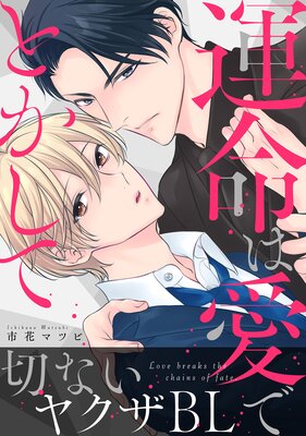 ��̿�ϰ��ǤȤ����ơ��Ż�ñ�����ǡۡ�Renta��������ŵ�դ���