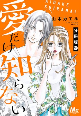 �������Τ�ʤ� ʬ���� 16