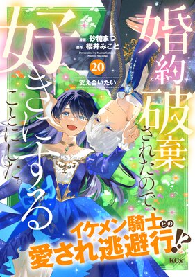 �����˴����줿�Τǡ������ˤ��뤳�Ȥˤ����� ʬ���� 20��