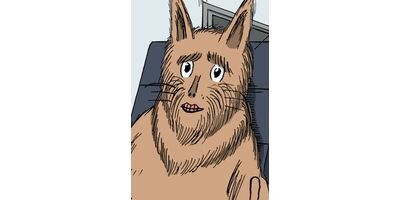 ���Ĥ���������� ���㥰�ޥ����� ���ƥ��顼�� ��143�롢��144�� ���西������/�ΤӤ䤫2���ޡڥե륫�顼��