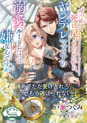 ���ä��������ä��Τ����顢���ǥ�ޥե�����Ů���롼�Ȥ����Ϸ��ʤ�Ǥ�����ɽ��