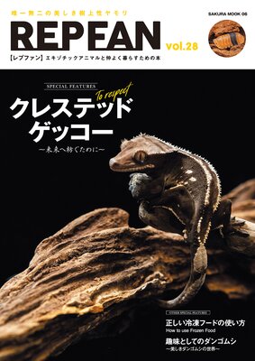 REPFAN vol.28��ɽ��