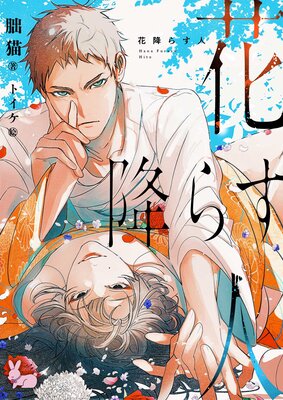 �ֹߤ餹�ͤ�ɽ��