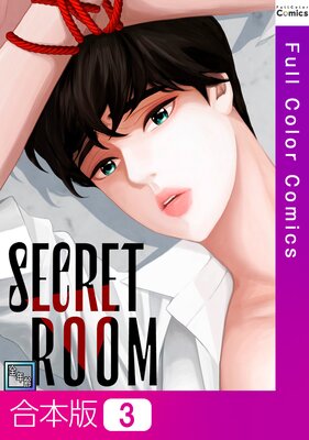 SECRET ROOM����ǯ���ǡۡڹ����ǡ�3��
