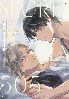 ��������åȥᥤ��303 2��ñ�����