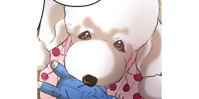 DOG SIGNAL�ڥ��ƥ����� Chapter148�ڥե륫�顼��