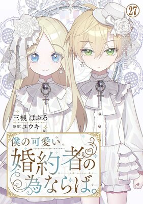 �ͤβİ�������Ԥΰ٤ʤ�С�27