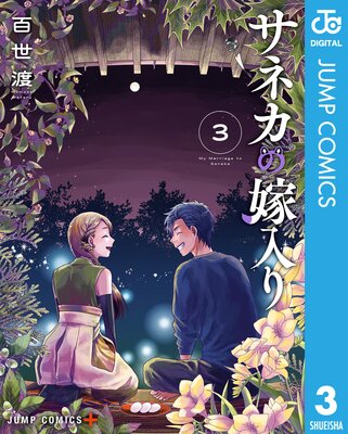 ���ͥ��β����� 3