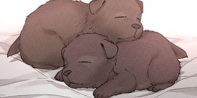 �͡��������ԤǤϤ���ޤ���29�áڥե륫�顼��