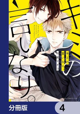 ���ߤθ����ʤꡣ��ʬ���ǡ� 4