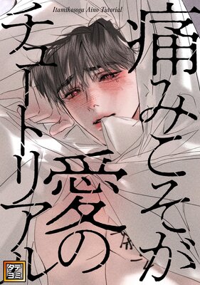 �ˤߤ��������Υ��塼�ȥꥢ��ڥե륫�顼��