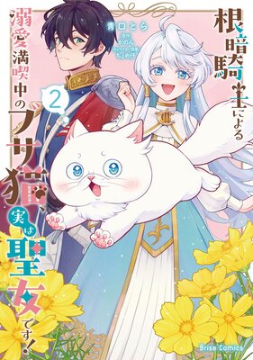 ���ŵ��Τˤ��Ů��������Υ֥�ǭ���¤������Ǥ���2