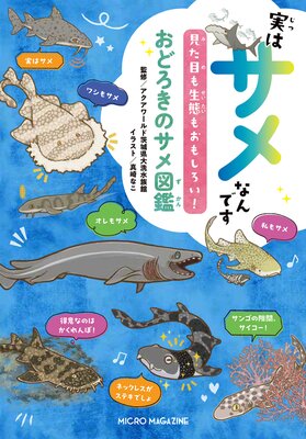 �¤ϥ���ʤ�Ǥ� �����ܤ����֤⤪�⤷���������ɤ����Υ���޴դ�ɽ��