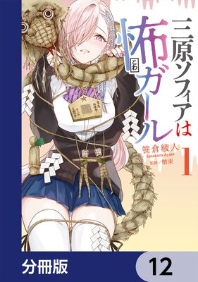 �������ե������ݥ������ʬ���ǡۤ�ɽ��