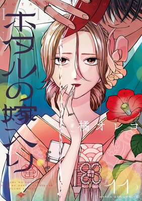 �ۥ���β����� 11