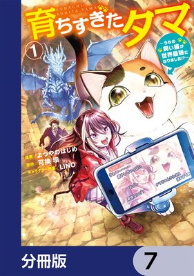 ������������ޡ�ʬ���ǡ� 7