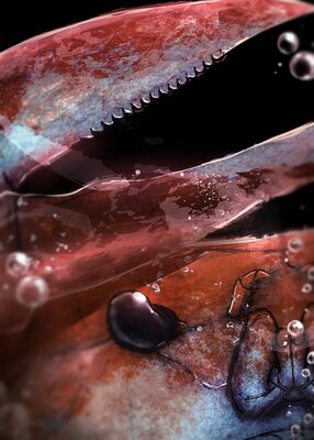 �פ����ǳ�䤷�����ڥե륫�顼��