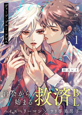 �ǥ����ס��֥롼�����ӥ���ɽ��