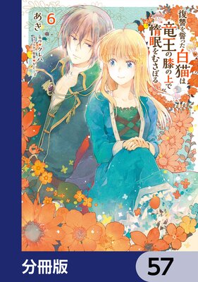 ���������ä���ǭ��ε����ɨ�ξ����̲��व�ܤ��ʬ���ǡ� 57