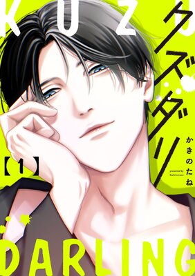 ���������ñ���ǡ�