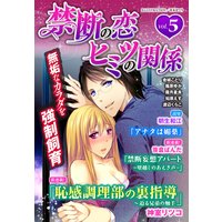 禁断の恋 ヒミツの関係 vol.5