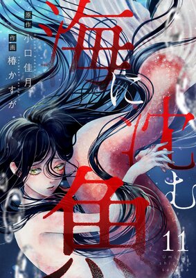 �����������11��