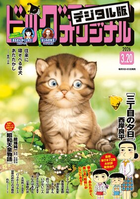 �ӥå����ߥå����ꥸ�ʥ�