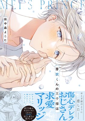 ��᤯��β����ͤϡ�ñ�����ǡۡ��ŻҸ�����ŵ�դ��ۤ�ɽ��