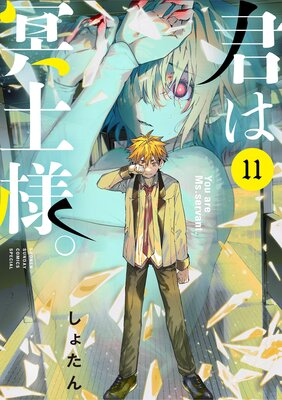 ����̽���͡� 11��ɽ��