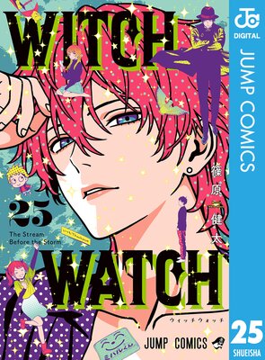 �����å������å� 25��ɽ��