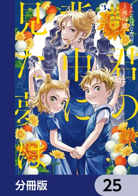 ��������˸���̴�ϡ�ʬ���ǡ� 25